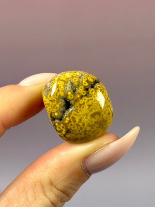 ORBICULAR OCEAN JASPER (8) Tumble Stone The Crystal Avenues 