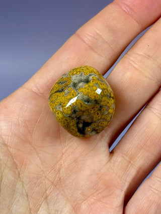 ORBICULAR OCEAN JASPER (8) Tumble Stone The Crystal Avenues 