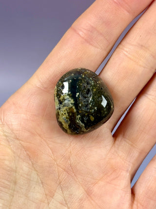 ORBICULAR OCEAN JASPER (9) Tumble Stone The Crystal Avenues 