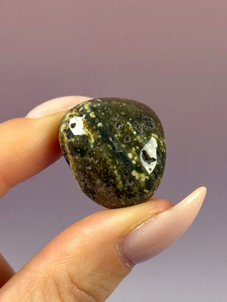 ORBICULAR OCEAN JASPER (9) Tumble Stone The Crystal Avenues 