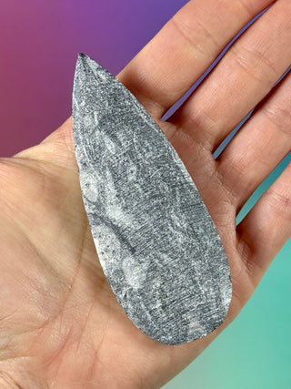 ORTHOCERAS (5) Palmstone The Crystal Avenues 