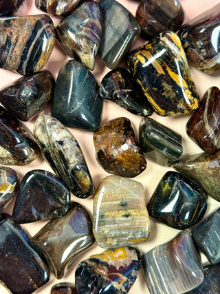 PETRIFIED WOOD TUMBLE STONE Tumble Stone The Crystal Avenues 