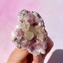 Indlæs billede til gallerivisning PINK AMETHYST GEODE (29) Druze The Crystal Avenues 
