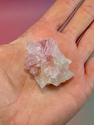 PINK HALITE (3) Tumble Stone The Crystal Avenues 