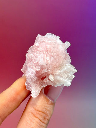 PINK HALITE (4) Tumble Stone The Crystal Avenues 