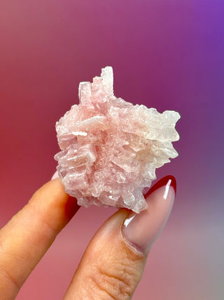 PINK HALITE (4) Tumble Stone The Crystal Avenues 