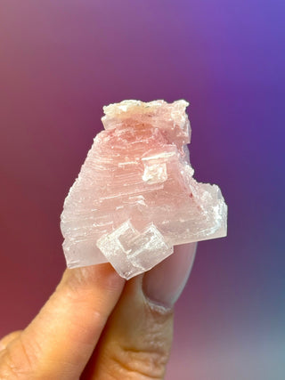 PINK HALITE (5) Tumble Stone The Crystal Avenues 