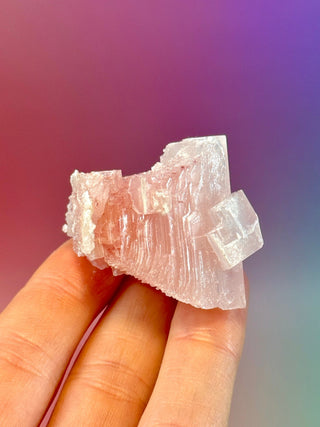 PINK HALITE (5) Tumble Stone The Crystal Avenues 