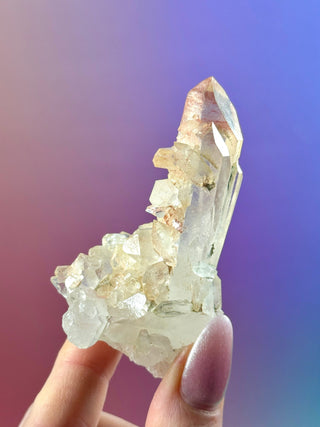 PINK HEMATOID QUARTZ CLUSTER - MADAGASCAR (50) The Crystal Avenues 