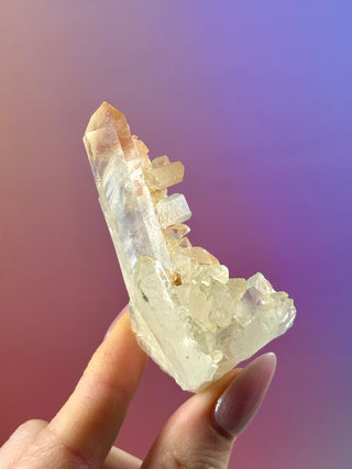 PINK HEMATOID QUARTZ CLUSTER - MADAGASCAR (50) The Crystal Avenues 