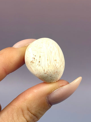 PINK SCOLECITE (10) Tumble Stone The Crystal Avenues 