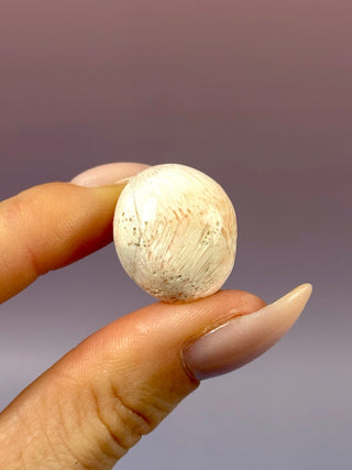 PINK SCOLECITE (12) Tumble Stone The Crystal Avenues 
