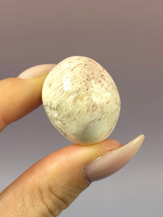 PINK SCOLECITE (2) Tumble Stone The Crystal Avenues 