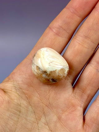 PINK SCOLECITE (3) Tumble Stone The Crystal Avenues 