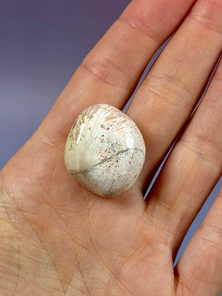 PINK SCOLECITE (6) Tumble Stone The Crystal Avenues 