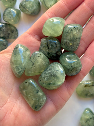 PREHNITE TOURMALINE TUMBLE STONE Tumble Stone The Crystal Avenues 
