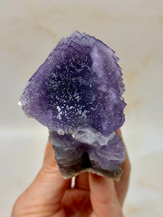 PURPLE FLUORITE CLUSTER W. CALCITE (13) Raw Crystal The Crystal Avenues 