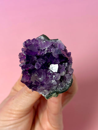 PÙRPURA AMETHYST CLUSTER - EXTRA QUALITY (8) Druze The Crystal Avenues 