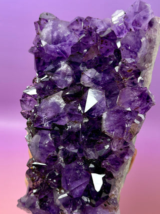 PÙRPURA AMETHYST CLUSTER LARGE - EXTRA QUALITY (2) Druze The Crystal Avenues 