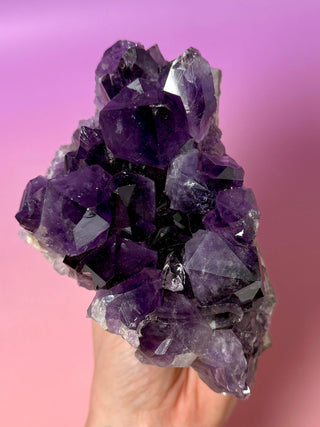 PÙRPURA AMETHYST CLUSTER MEDIUM - EXTRA QUALITY (5) Druze The Crystal Avenues 