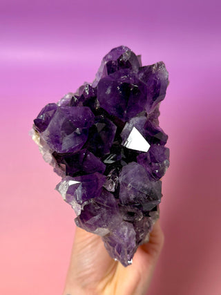 PÙRPURA AMETHYST CLUSTER MEDIUM - EXTRA QUALITY (5) Druze The Crystal Avenues 