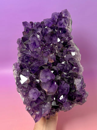 PÙRPURA AMETHYST CLUSTER XL - EXTRA QUALITY (1) Druze The Crystal Avenues 