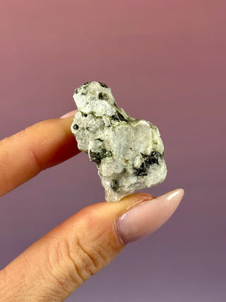 RAINBOW MOONSTONE RAW (2) Raw Crystal The Crystal Avenues 
