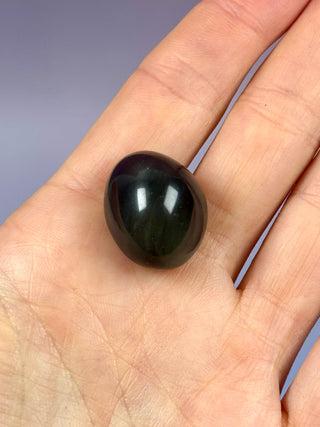 RAINBOW OBSIDIAN (6) Palm stone The Crystal Avenues 