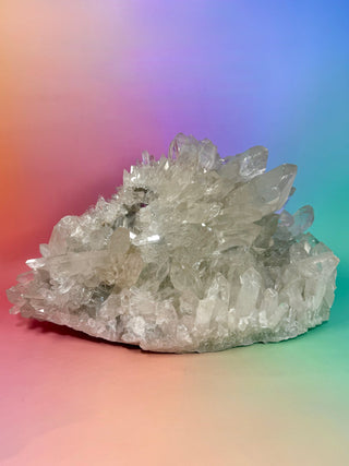 ROCK CRYSTAL CLUSTER XL - 9.75 KG The Crystal Avenues 