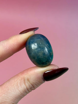 SAPPHIRE TUMBLE STONE (11) Tumble Stone The Crystal Avenues 