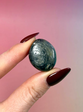 SAPPHIRE TUMBLE STONE (15) Tumble Stone The Crystal Avenues 