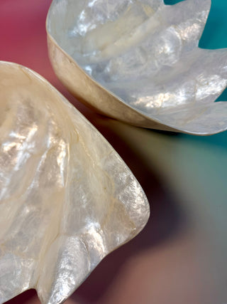 SEASHELL - LARGE Smudge bowl The Crystal Avenues 