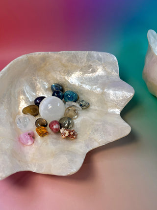 SEASHELL - LARGE Smudge bowl The Crystal Avenues 