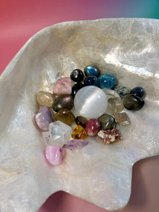 SEASHELL - LARGE Smudge bowl The Crystal Avenues 