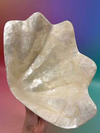 SEASHELL - LARGE Smudge bowl The Crystal Avenues 