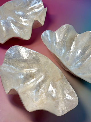 SEASHELL - SMALL Smudge bowl The Crystal Avenues 