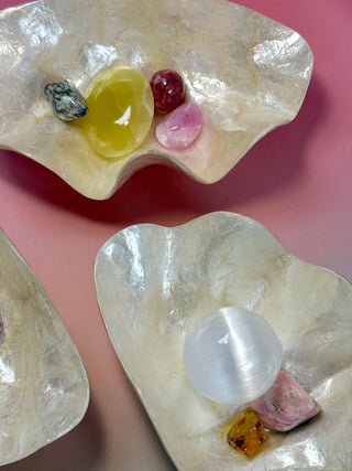 SEASHELL - SMALL Smudge bowl The Crystal Avenues 