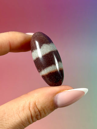 SHIVA LINGAM (10) Palmstone The Crystal Avenues 