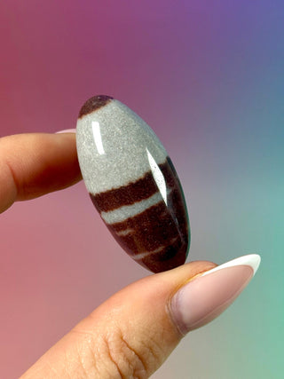 SHIVA LINGAM (5) Palmstone The Crystal Avenues 