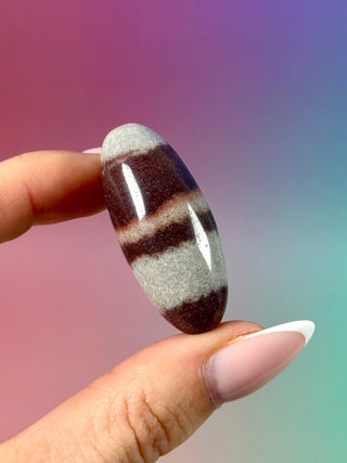 SHIVA LINGAM (6) Palmstone The Crystal Avenues 