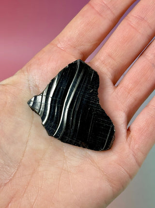 SHUNGITE ELITE (3) Raw Crystal The Crystal Avenues 