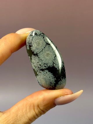SNOWFLAKE OBSIDIAN (1) tumble stone The Crystal Avenues 