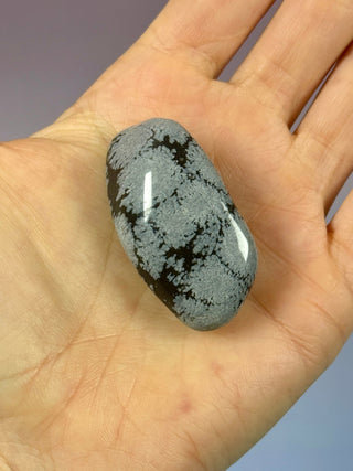 SNOWFLAKE OBSIDIAN (1) tumble stone The Crystal Avenues 