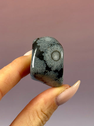SNOWFLAKE OBSIDIAN (2) tumble stone The Crystal Avenues 