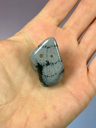SNOWFLAKE OBSIDIAN (2) tumble stone The Crystal Avenues 