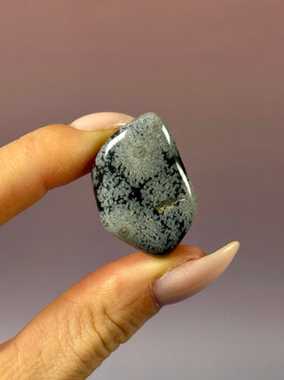 SNOWFLAKE OBSIDIAN (4) tumble stone The Crystal Avenues 