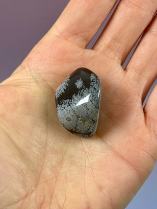 SNOWFLAKE OBSIDIAN (4) tumble stone The Crystal Avenues 