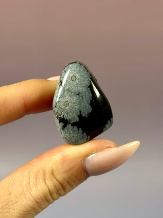 SNOWFLAKE OBSIDIAN (5) tumble stone The Crystal Avenues 