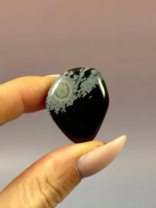 SNOWFLAKE OBSIDIAN (6) tumble stone The Crystal Avenues 