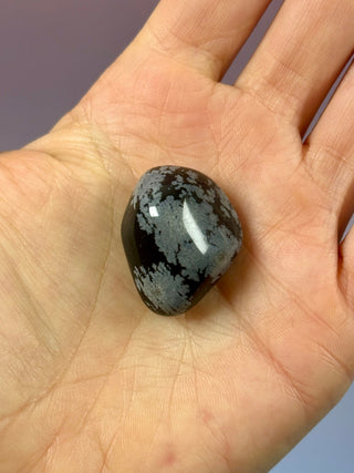 SNOWFLAKE OBSIDIAN (6) tumble stone The Crystal Avenues 